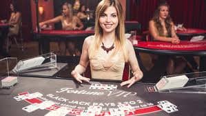 spinbet99 gaming platform